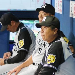 ベンチが暗いことも多いが…（Ｃ）日刊ゲンダイ