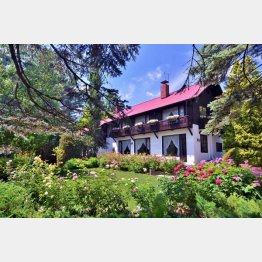 日本初のコニファー（針葉樹）ガーデン「真鍋庭園」／（提供写真）