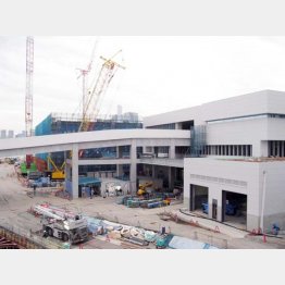 豊洲新市場は１１月７日開場（Ｃ）日刊ゲンダイ