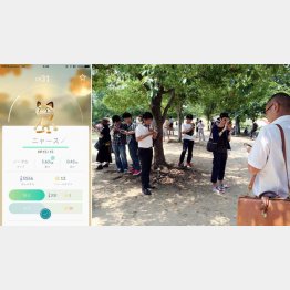 みんな必死…（Ｃ）日刊ゲンダイ