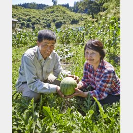 写真はイメージ（Ｃ）日刊ゲンダイ