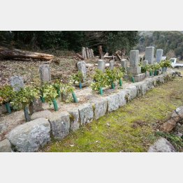 毎年の帰省も大変で…（Ｃ）日刊ゲンダイ