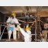 原発作業員は大丈夫なのか（東京電力提供）