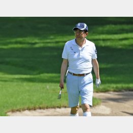 またゴルフ三昧（Ｃ）日刊ゲンダイ