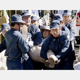 沖縄では機動隊が住民を弾圧（Ｃ）共同通信社