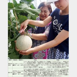 （Ｃ）日刊ゲンダイ