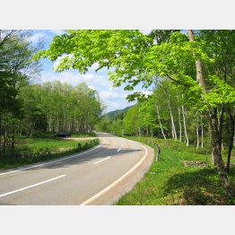 せせらぎ街道（提供）高山市