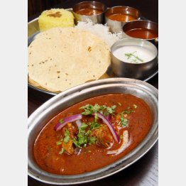 「鰹のミーンコランブー」（Ｃ）日刊ゲンダイ