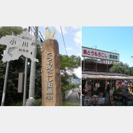 わずか５キロのミニ街道（Ｃ）日刊ゲンダイ