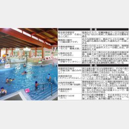 「うつのみや・ろまんちっく村」（左）にはスパが（提供写真）