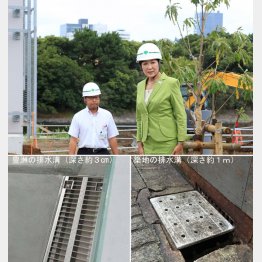 決断できなければ総スカン（Ｃ）日刊ゲンダイ