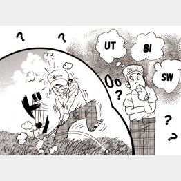 イラスト・たかぎしひろや