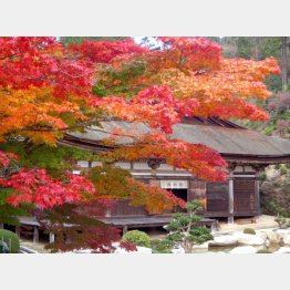 善水寺（提供写真）