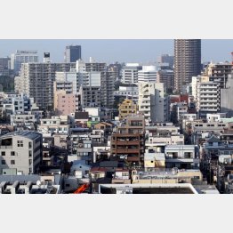 ババを引かないためには“選球眼”を磨くしかない（Ｃ）日刊ゲンダイ