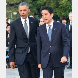 無策無能（Ｃ）代表撮影