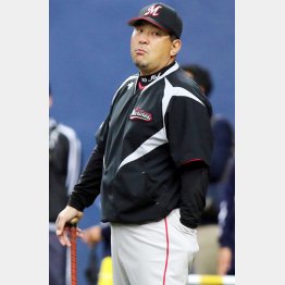 伊東監督は経験豊富だけに（Ｃ）日刊ゲンダイ