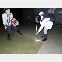 水深２０センチの場所も（日本共産党都議団撮影）