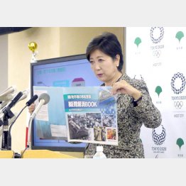 小池都知事もお飾りか（Ｃ）日刊ゲンダイ