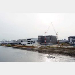 豊洲新市場の地下水から検出（Ｃ）日刊ゲンダイ