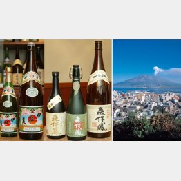 九州南部は焼酎の大産地（右は鹿児島の桜島）／（Ｃ）日刊ゲンダイ