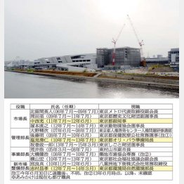 豊洲新市場（Ｃ）日刊ゲンダイ