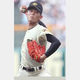 今井は甲子園で計６１６球投げた（Ｃ）日刊ゲンダイ