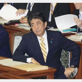 やりたい放題（Ｃ）日刊ゲンダイ