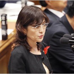 ９月３０日の衆院予算委では涙の答弁（Ｃ）日刊ゲンダイ