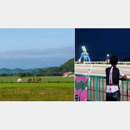 道からの眺めは爽快。奥は日高山脈・ホッカイドウ競馬開催中（門別競馬場）／（提供写真）