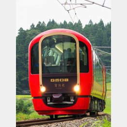 櫻井氏ひとめぼれの雪月花（Ｃ）日刊ゲンダイ