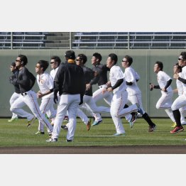 若手の台頭が望まれるが…（Ｃ）日刊ゲンダイ