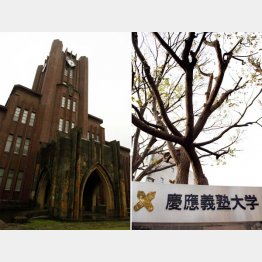 東京大学と慶應義塾大学（Ｃ）日刊ゲンダイ