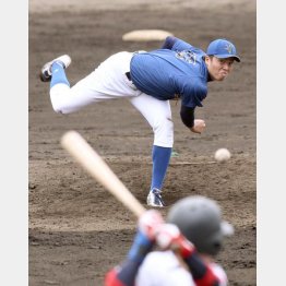 巨人は創価大・田中正義を指名回避か（Ｃ）日刊ゲンダイ