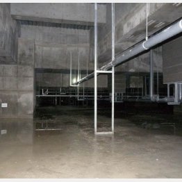 豊洲新市場の建物地下（日本共産党都議団撮影）