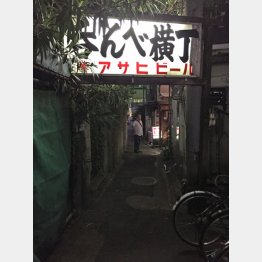 怪しげな雰囲気に味がある（Ｃ）日刊ゲンダイ