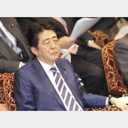 国民をナメ切っている（Ｃ）日刊ゲンダイ