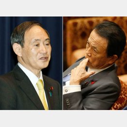 菅官房長官と麻生財務相（Ｃ）日刊ゲンダイ