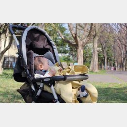 安心な紙おむつを求める傾向（Ｃ）日刊ゲンダイ