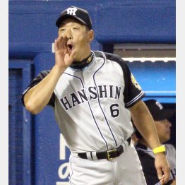 未解決案件にメス（Ｃ）日刊ゲンダイ