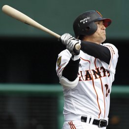 昨年までは選手由伸がいたが…（Ｃ）日刊ゲンダイ