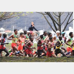 リオ五輪は惨敗だったが（Ｃ）ＪＭＰＡ