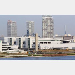 迷走続く豊洲新市場（Ｃ）日刊ゲンダイ