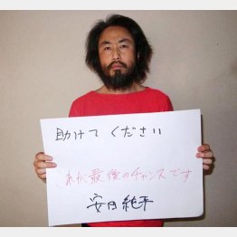 この画像から半年