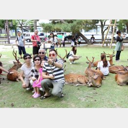 （Ｃ）日刊ゲンダイ