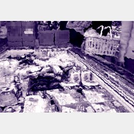 写真はイメージ（Ｃ）日刊ゲンダイ