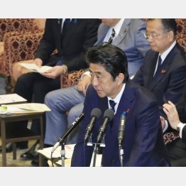 猛威に襲われる（ＴＰＰ特別委）／（Ｃ）日刊ゲンダイ