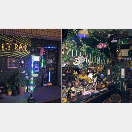 ドアにまでツタが…（Ｃ）日刊ゲンダイ