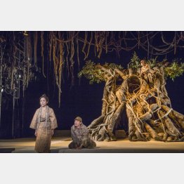 こまつ座「木の上の軍隊」／（提供写真）