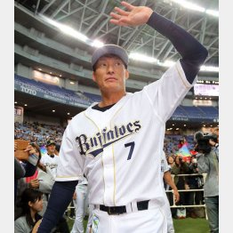 “ファン感”でファンと最後のハイタッチ（Ｃ）日刊ゲンダイ