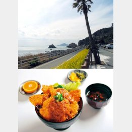 海沿いのサイクリングロード・ボリュームもある「食事処さくや」（Ｃ）日刊ゲンダイ
